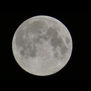 Meet your Posher, Abraham